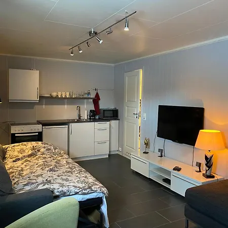 Koselig Liten Leilighet I Tromso Exterior photo