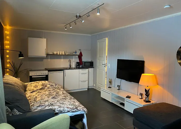 Koselig Liten Leilighet I Tromso